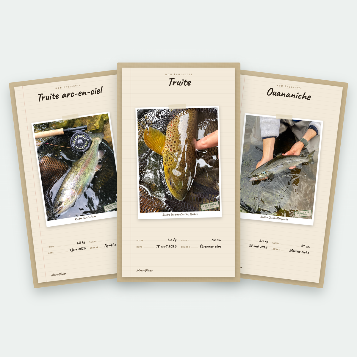 Trois cartes de prise d’une même journée de pêche, dans le même livrable